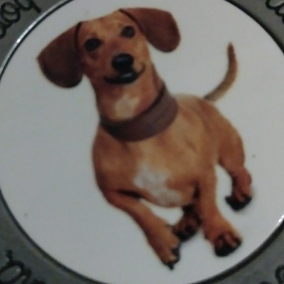 Dog Dachshund Keychain or Purse Accessory - Picture 4 of 4